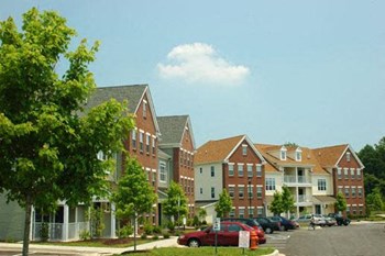 7141 Beverly Drive 2-3 Beds Apartment for Rent - Photo Gallery 6