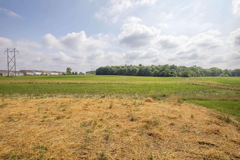 a view of a field with grass and trees in the background