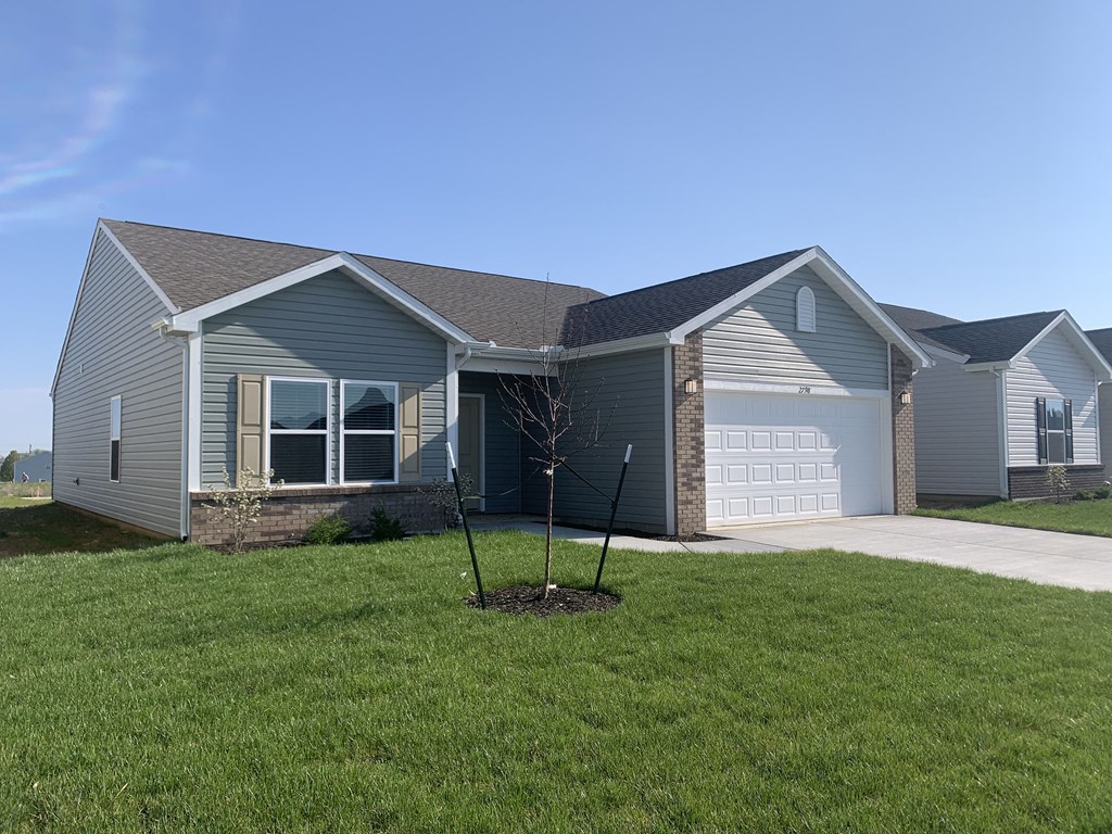 a house with a lawn and a tree in front of it