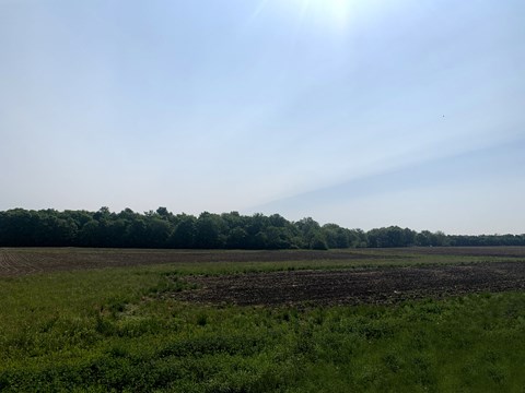 an open field with trees in the background and a blue sky