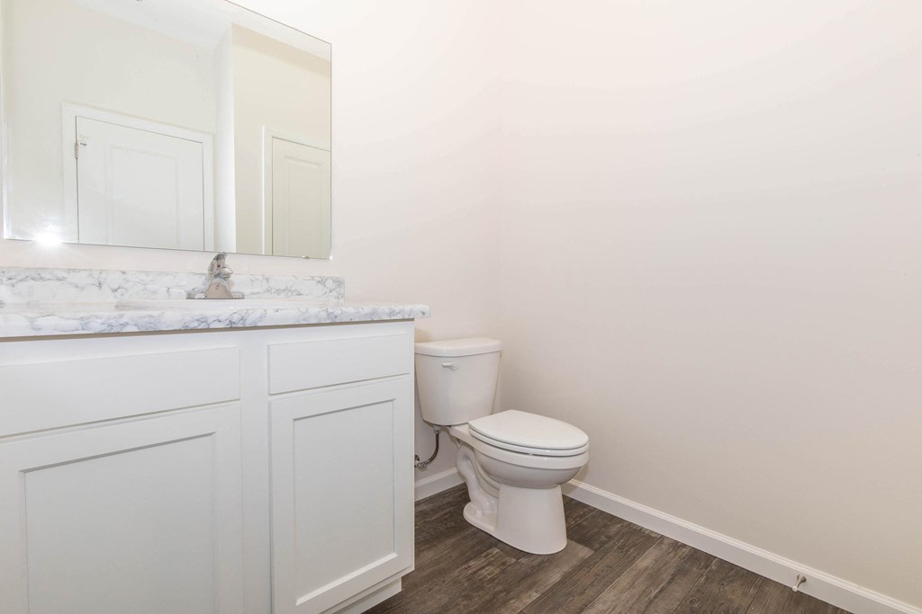 a bathroom with a toilet and a sink and a mirror