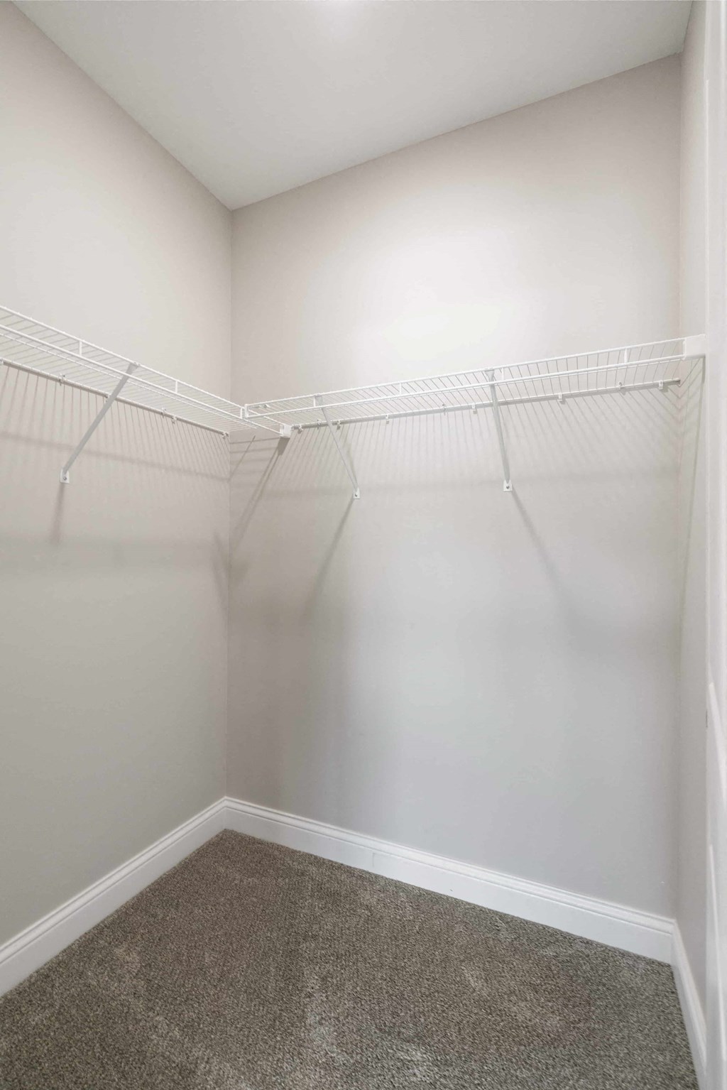 Adelyn On Grant Line