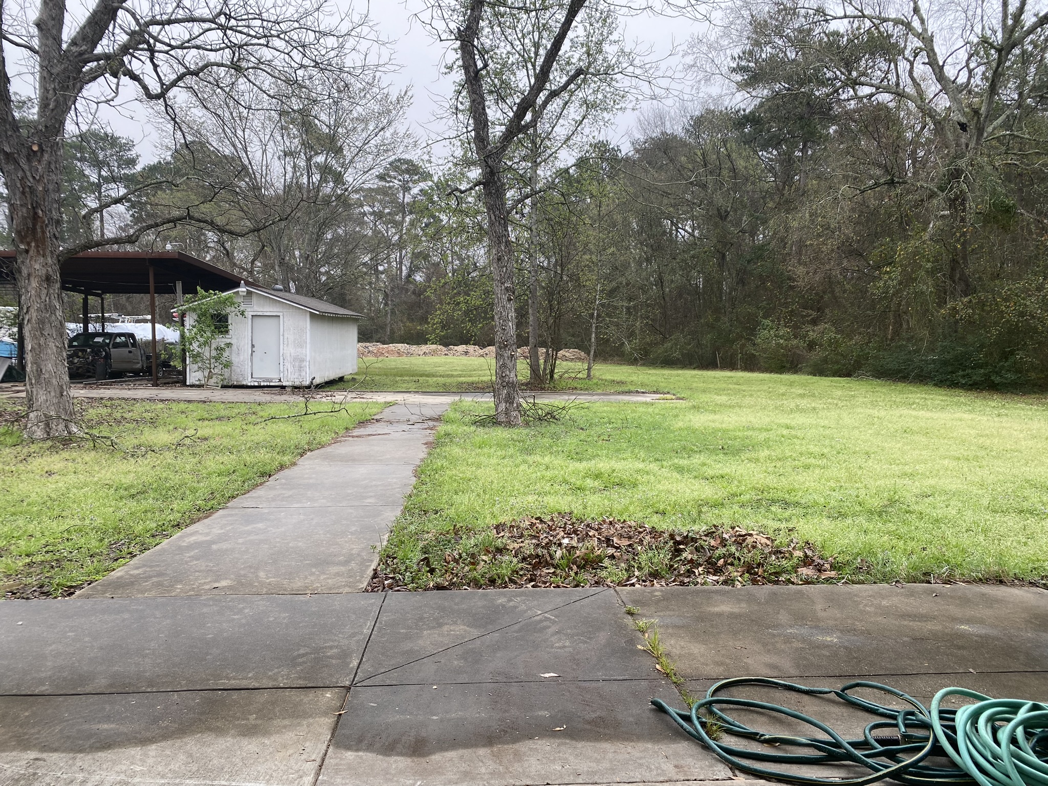 a yard with a sidewalk and a shed