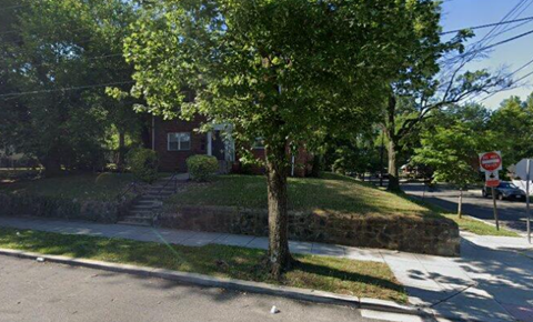 a tree on the corner of a street in front of a house