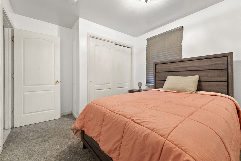 a bedroom with a bed and a closet