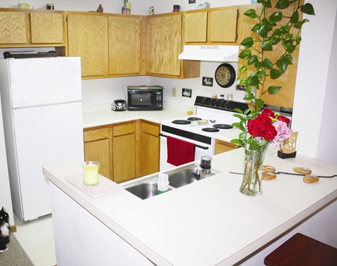 a kitchen with a vase of roses on the counter