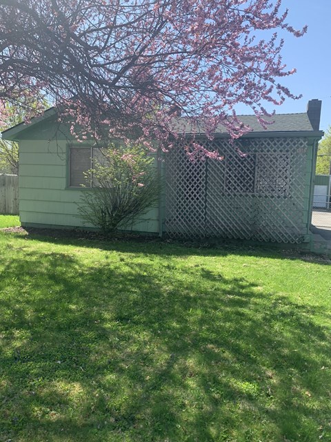 a small green house with a pink flowering tree in front of it