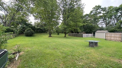 a backyard with a yard and trees and a wooden fence