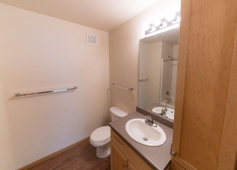 a bathroom with a sink toilet and a mirror