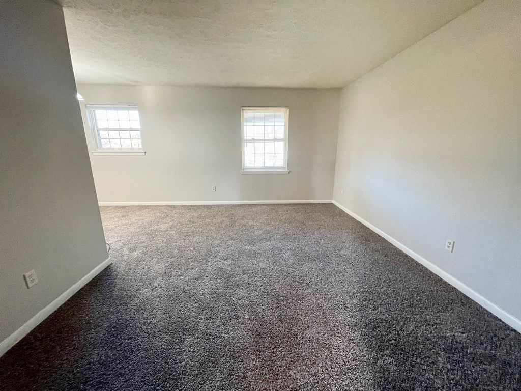 A room with a carpeted floor and two windows.