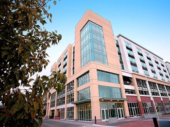 190 East Front St, Ste. 112 Studio-2 Beds Apartment for Rent - Photo Gallery 3