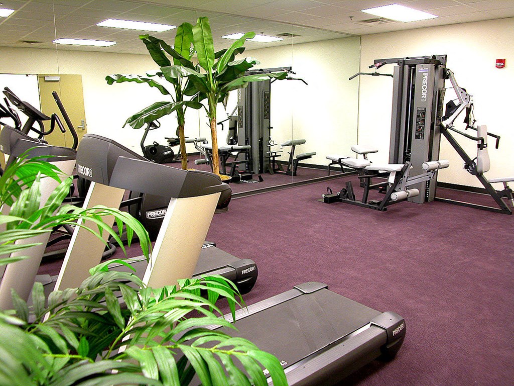 a gym with exercise equipment and plants in it
