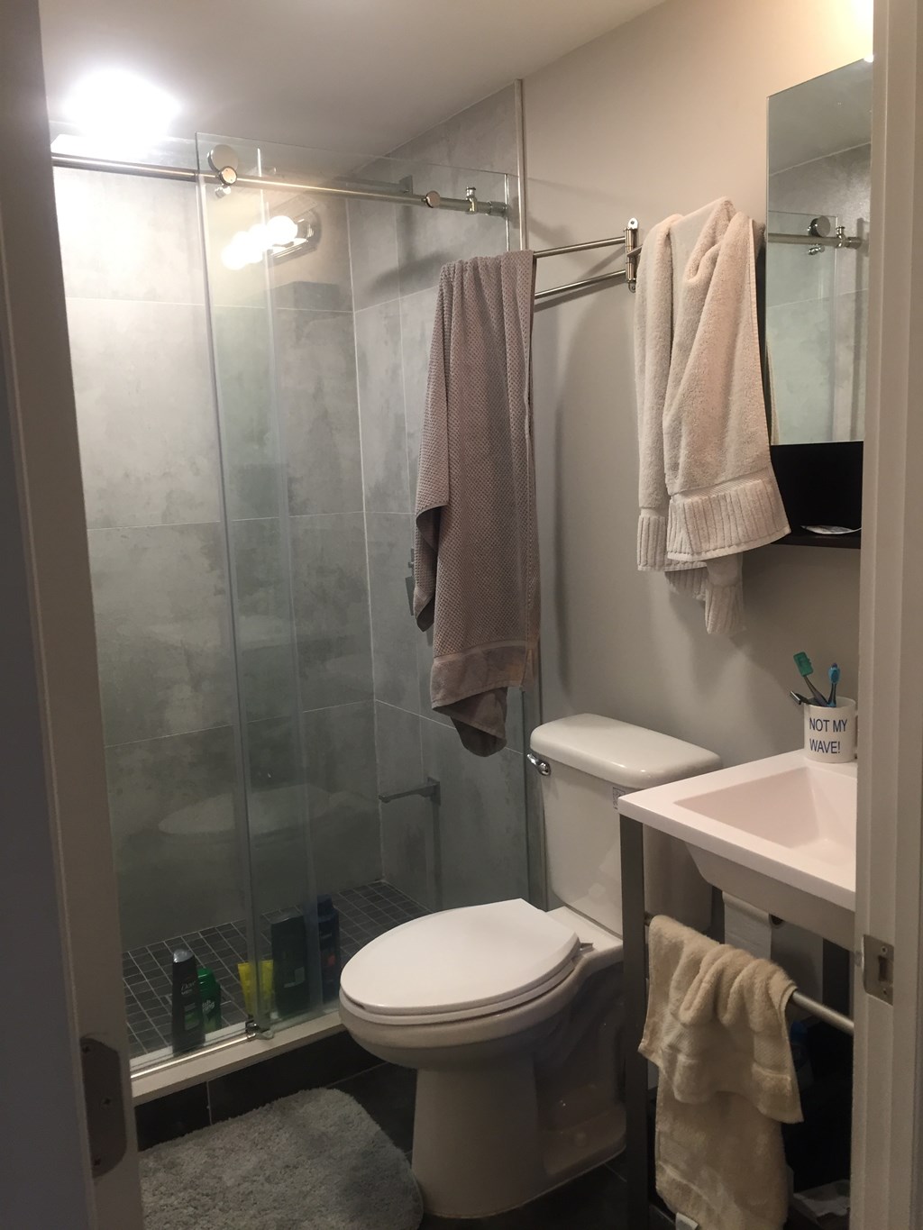a small bathroom with a shower and a toilet