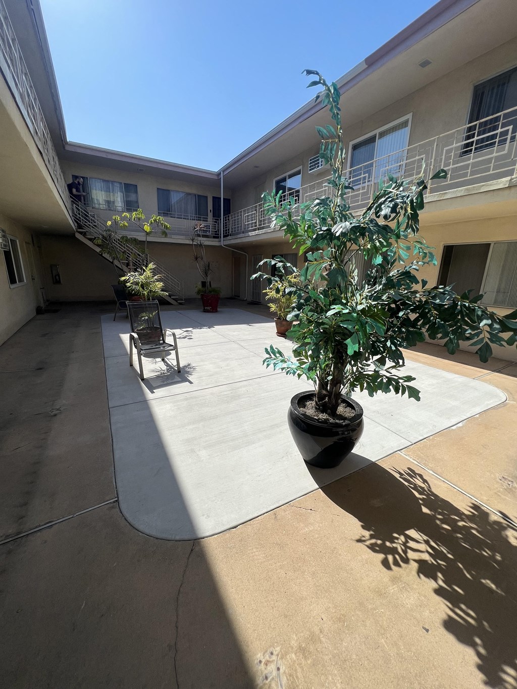 a courtyard with a potted tree and a chair