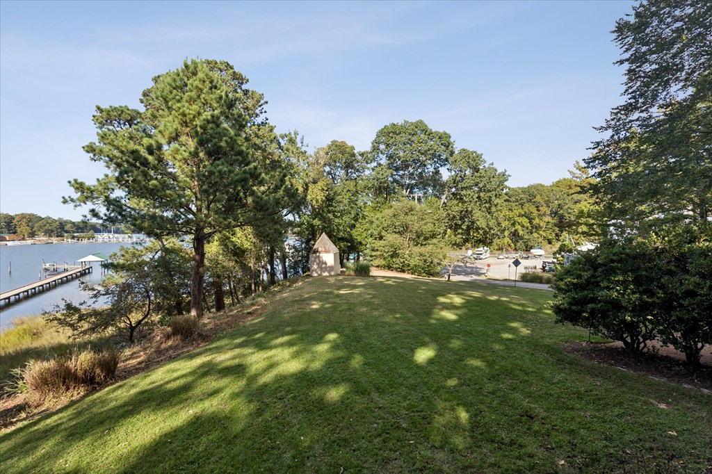 A grassy area with trees and a body of water in the distance.