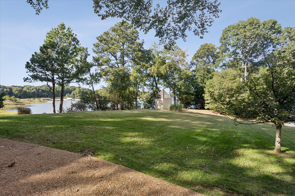 A grassy field with trees and a lake in the distance.