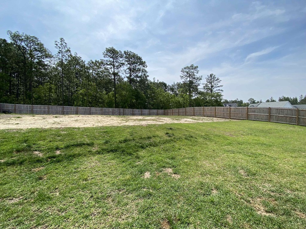 A large, grassy field with a fence and trees in the background.