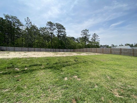 A large, grassy field with a fence and trees in the background.