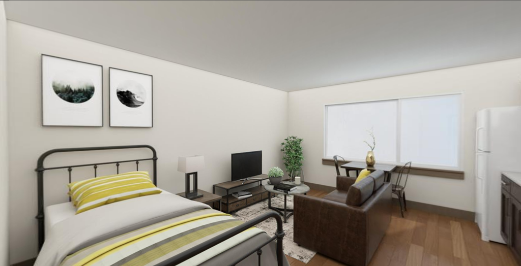 a bedroom with a bed and a couch and a tv