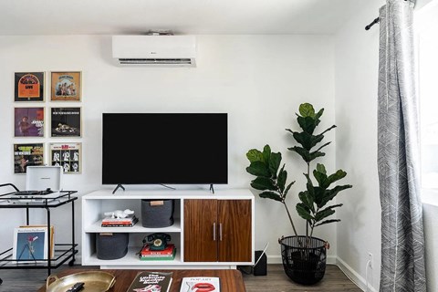 a living room with a television and a plant