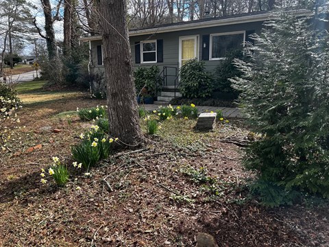A house with a grey siding and a white door is surrounded by a garden with a tree and some flowers.