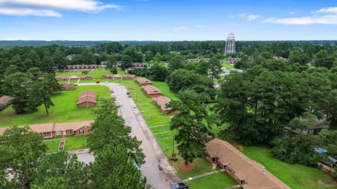 A bird's eye view of a residential area with houses, trees, and a road.