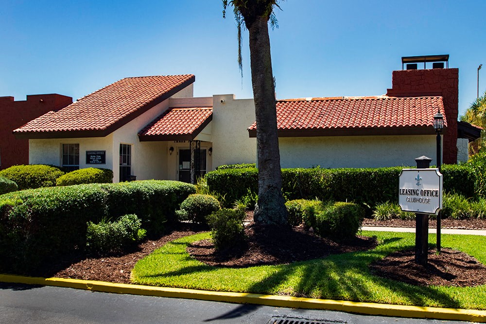 a house with a palm tree in front of it