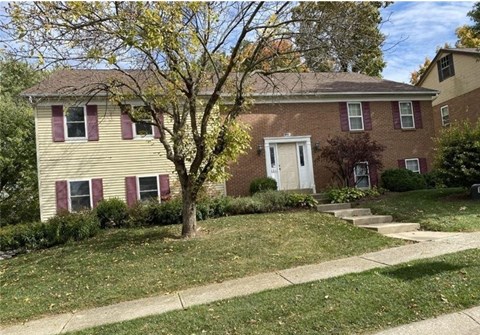 a house with a tree in front of it