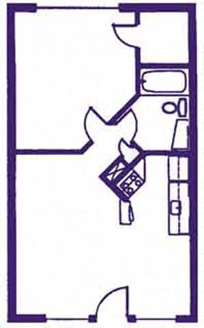 1815 E. Speedway Boulevard Studio-2 Beds Apartment for Rent - Photo Gallery 15