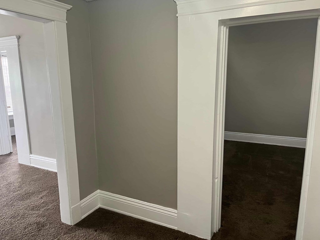 a hallway with a door to a closet and a carpeted floor