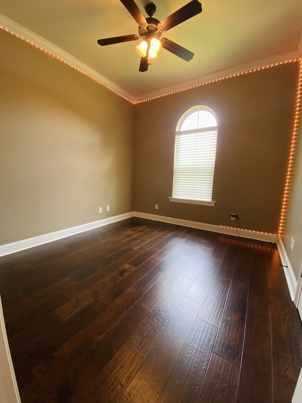 the living room with hardwood floors and a ceiling fan