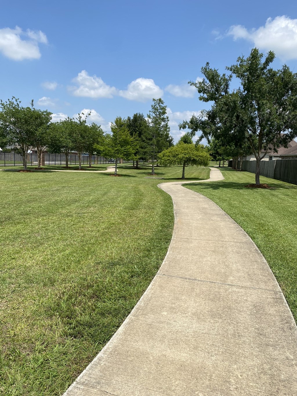 a sidewalk through a park with grass and trees