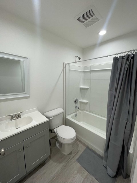 a renovated bathroom with a shower toilet and sink