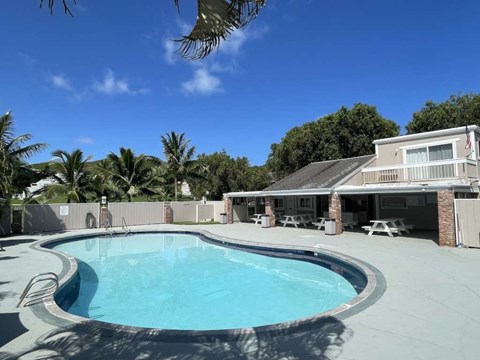 A swimming pool in a backyard with a house and palm trees in the background.