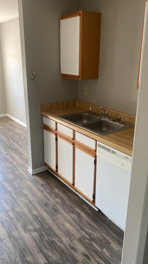A kitchen with a sink and a dishwasher.