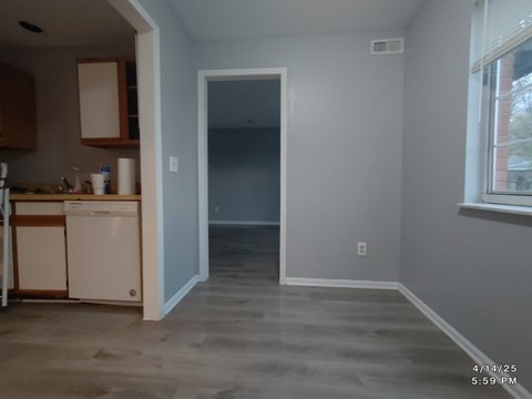 A kitchen with a dishwasher and a washing machine.