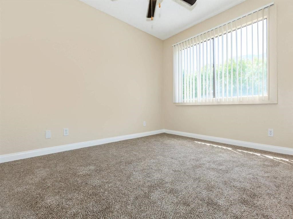 an empty living room with carpet and a window