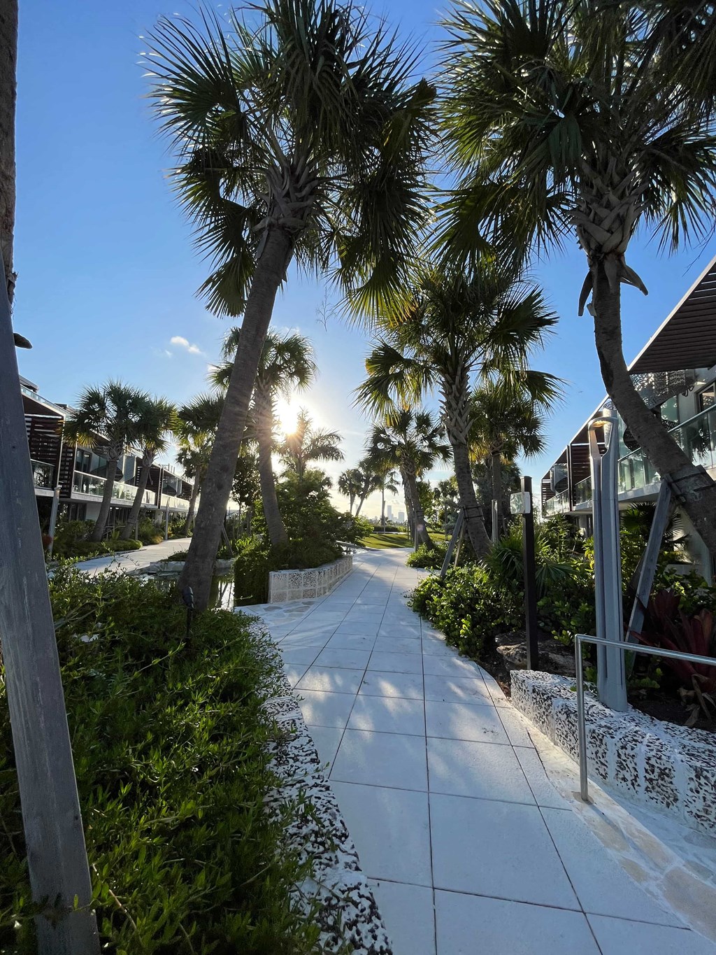 a sidewalk with palm trees and houses on the side of it