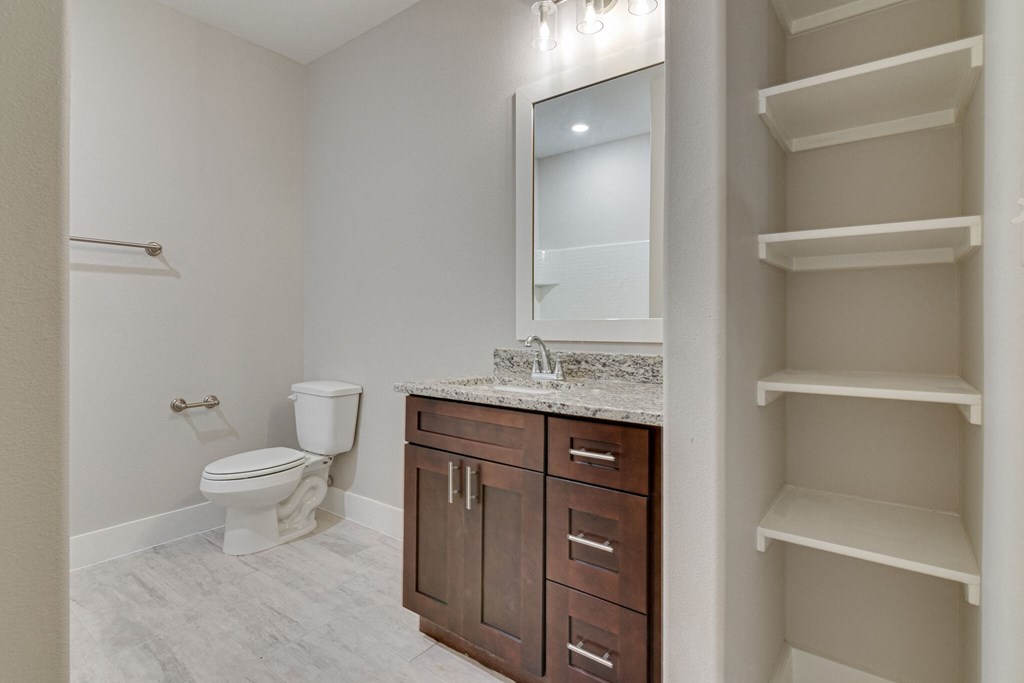 a bathroom with a toilet and a sink and a mirror