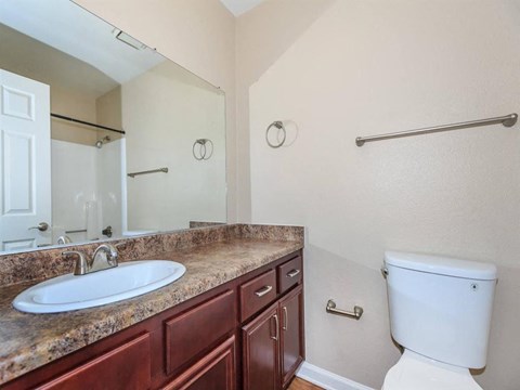 a bathroom with a sink toilet and a mirror