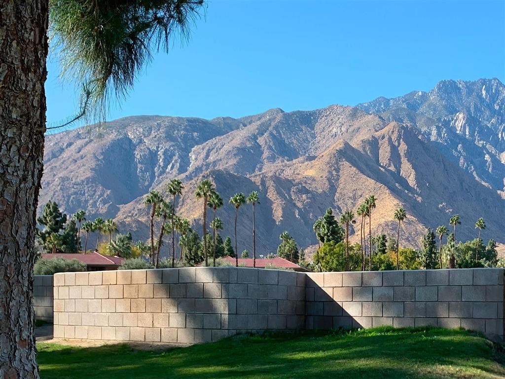 a wall with palm trees and mountains in the background