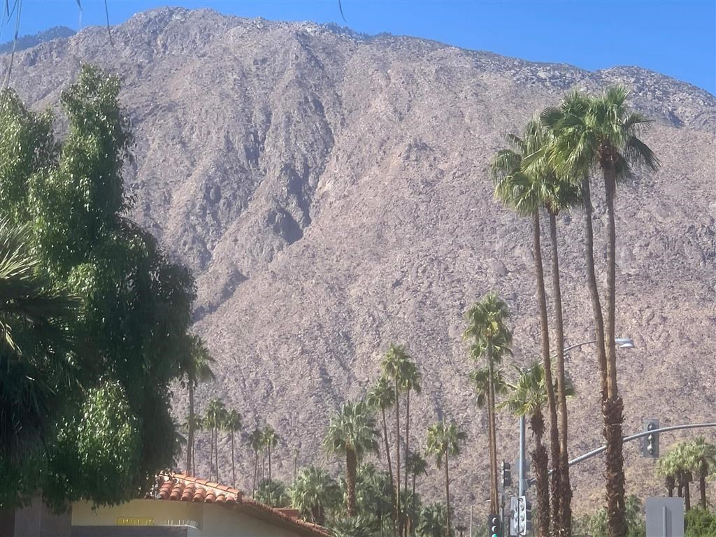 a view of a mountain and palm trees