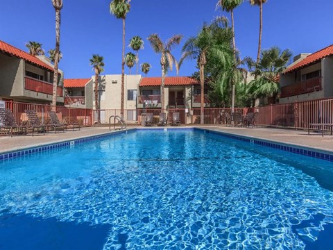 the swimming pool at the resort with palm trees