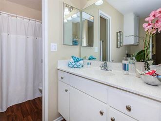 a bathroom with a sink and a mirror and a shower