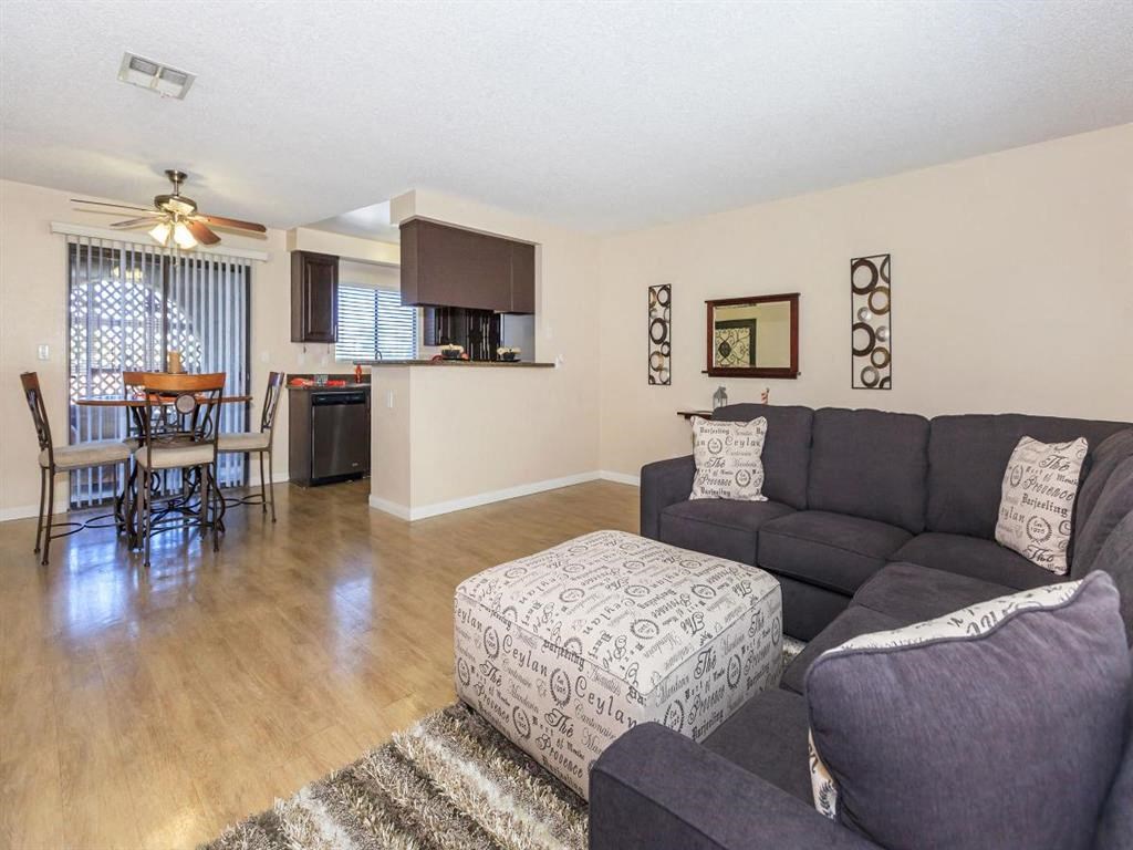 a living room and kitchen with a couch and a