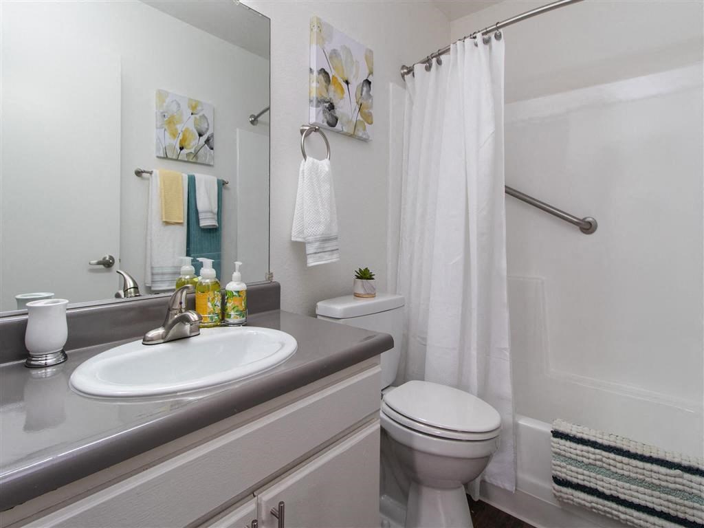 a bathroom with a sink toilet and a shower