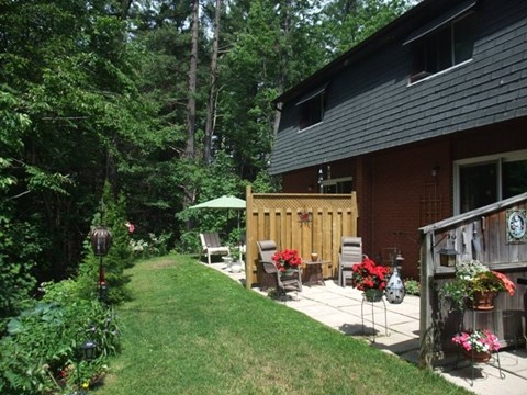 A backyard with a wooden fence and a green umbrella.