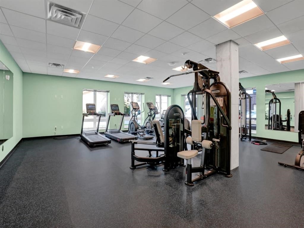 a gym with weights and cardio equipment in a large room