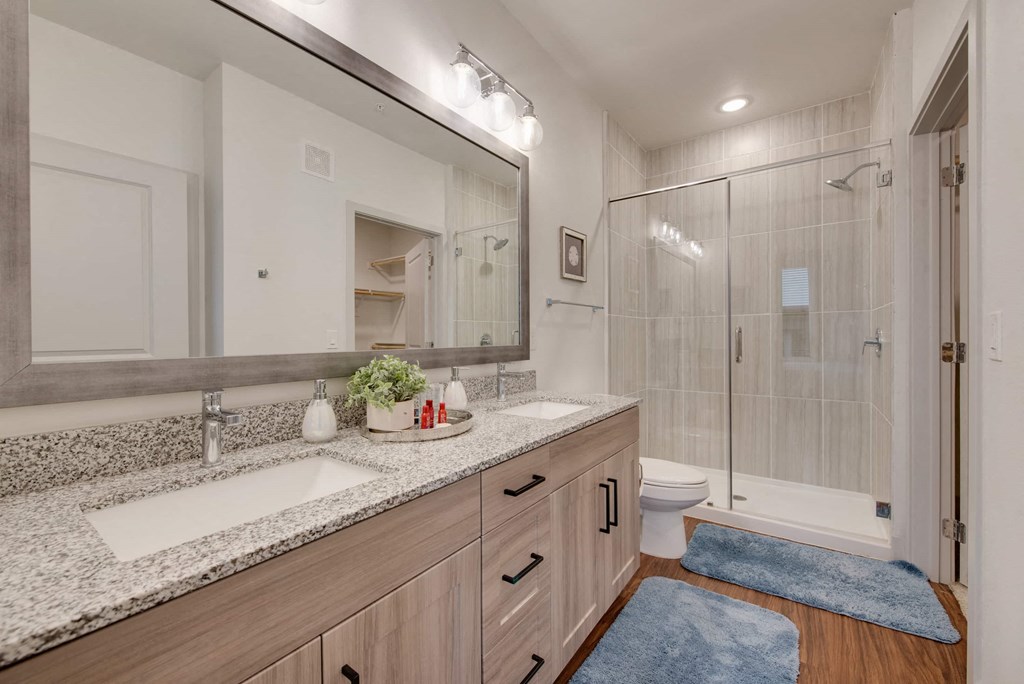 a bathroom with a sink and a shower
