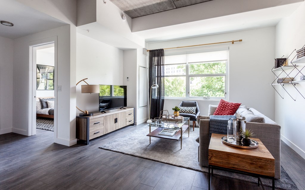 Contemporary one bedroom apartments with plank flooring and loft style ceilings